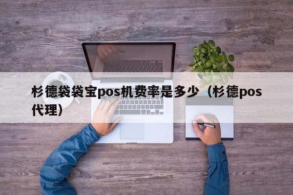 杉德袋袋宝pos机费率是多少（杉德pos代理）