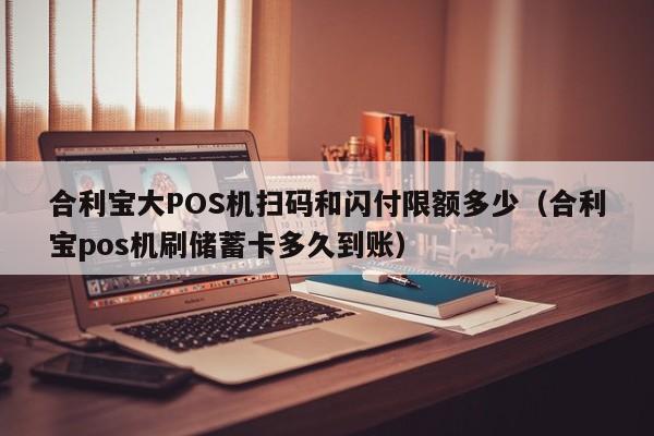 合利宝大POS机扫码和闪付限额多少（合利宝pos机刷储蓄卡多久到账）