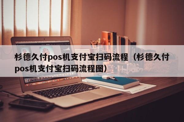 杉德久付pos机支付宝扫码流程（杉德久付pos机支付宝扫码流程图）