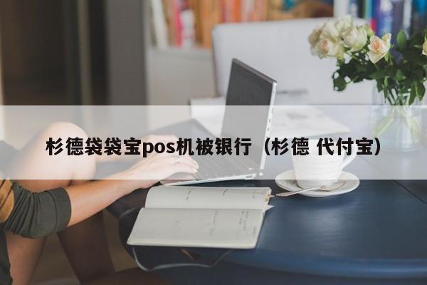 杉德袋袋宝pos机被银行（杉德 代付宝）