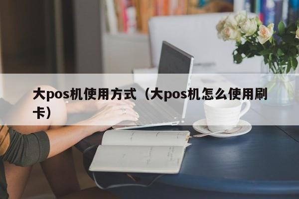 大pos机使用方式（大pos机怎么使用刷卡）