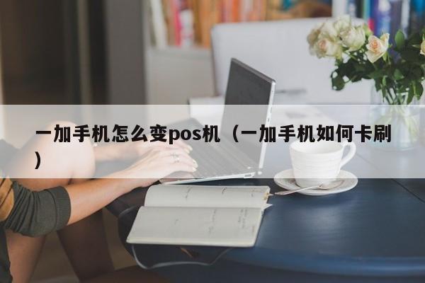 一加手机怎么变pos机（一加手机如何卡刷）