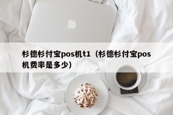 杉德杉付宝pos机t1（杉德杉付宝pos机费率是多少）