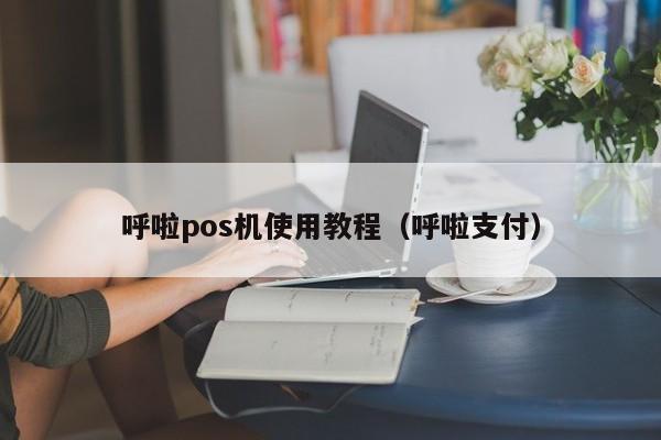 呼啦pos机使用教程（呼啦支付）