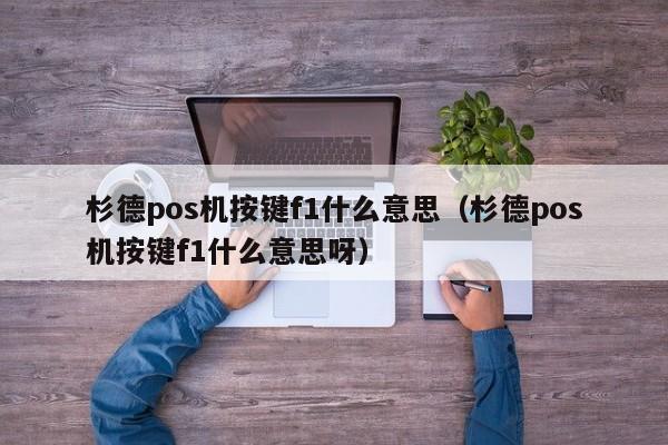 杉德pos机按键f1什么意思（杉德pos机按键f1什么意思呀）