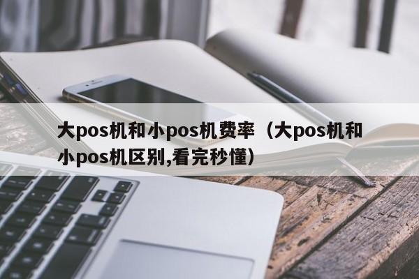 大pos机和小pos机费率（大pos机和小pos机区别,看完秒懂）