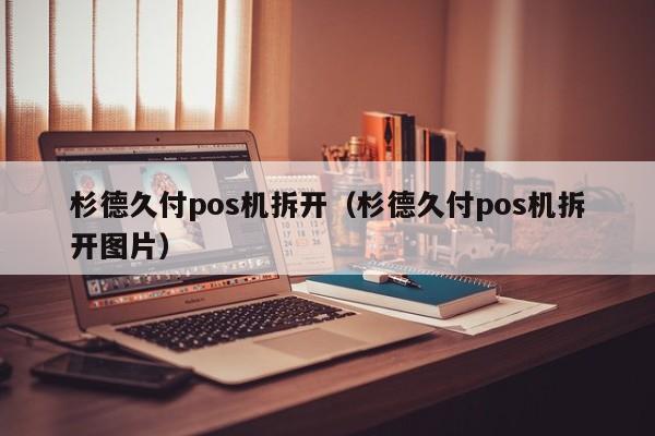 杉德久付pos机拆开（杉德久付pos机拆开图片）