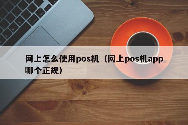 网上怎么使用pos机（网上pos机app哪个正规）