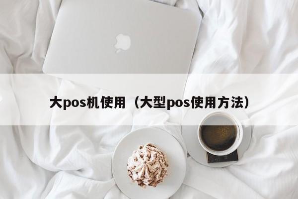 大pos机使用（大型pos使用方法）