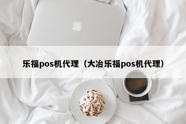 乐福pos机代理（大冶乐福pos机代理）