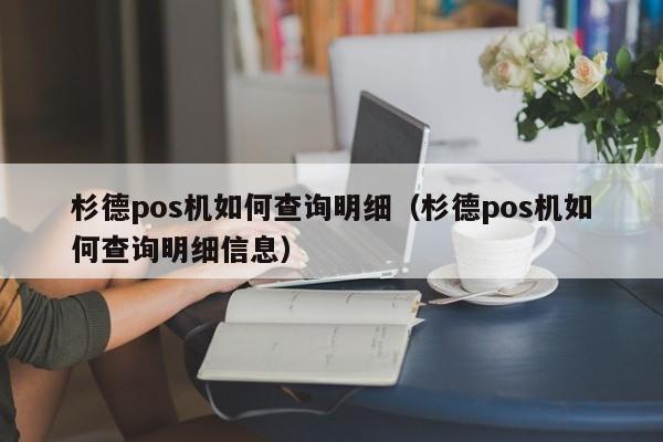 杉德pos机如何查询明细（杉德pos机如何查询明细信息）