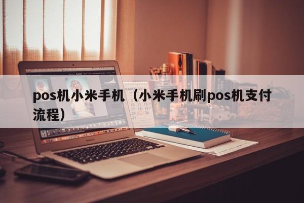 pos机小米手机（小米手机刷pos机支付流程）