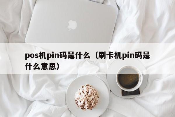 pos机pin码是什么（刷卡机pin码是什么意思）