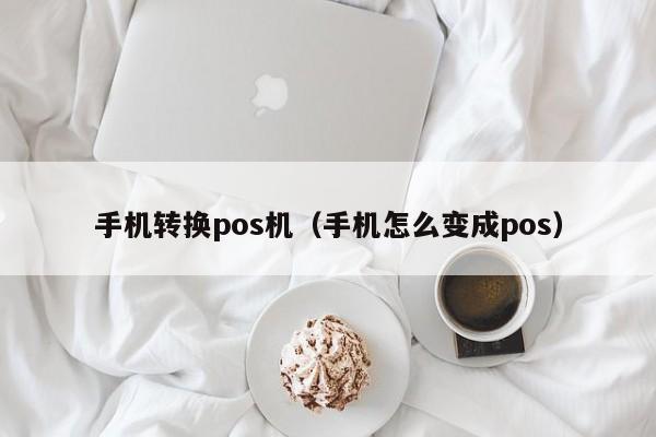 手机转换pos机（手机怎么变成pos）