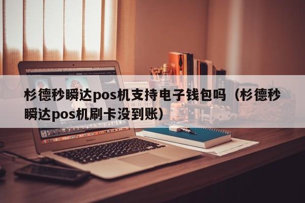 杉德秒瞬达pos机支持电子钱包吗（杉德秒瞬达pos机刷卡没到账）