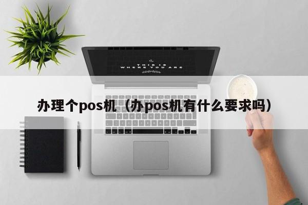 办理个pos机（办pos机有什么要求吗）