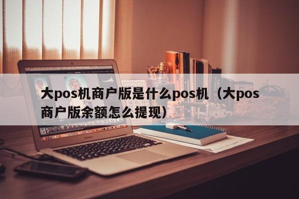 大pos机商户版是什么pos机（大pos商户版余额怎么提现）