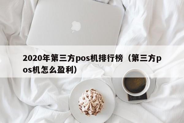 2020年第三方pos机排行榜（第三方pos机怎么盈利）