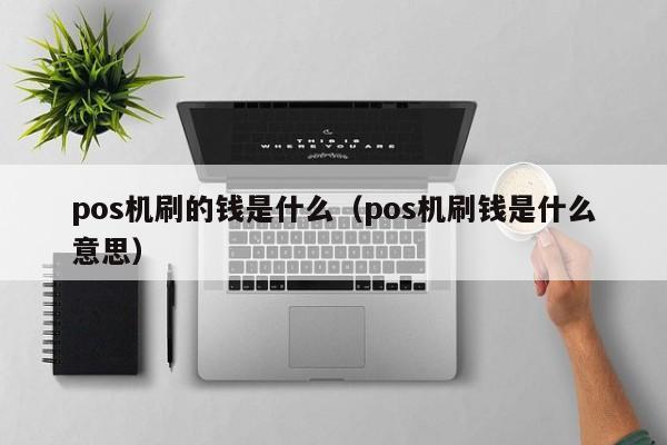 pos机刷的钱是什么（pos机刷钱是什么意思）