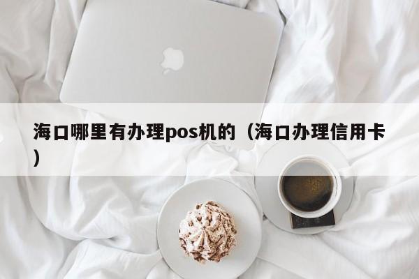 海口哪里有办理pos机的（海口办理信用卡）