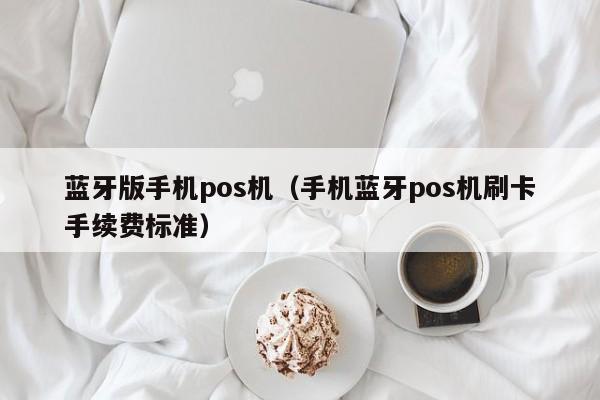 蓝牙版手机pos机（手机蓝牙pos机刷卡手续费标准）