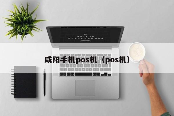 咸阳手机pos机（pos机）