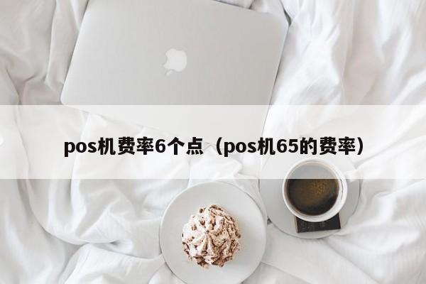 pos机费率6个点（pos机65的费率）