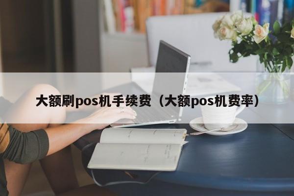 大额刷pos机手续费（大额pos机费率）