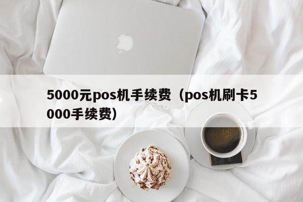 5000元pos机手续费（pos机刷卡5000手续费）