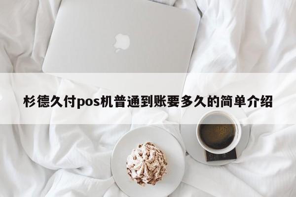 杉德久付pos机普通到账要多久的简单介绍