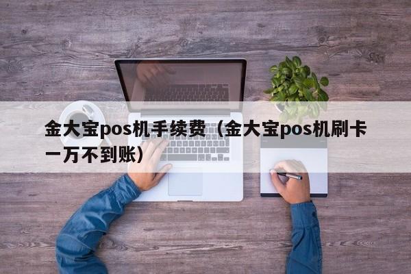 金大宝pos机手续费（金大宝pos机刷卡一万不到账）