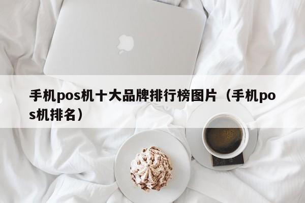 手机pos机十大品牌排行榜图片（手机pos机排名）