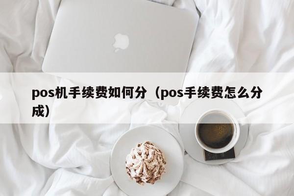 pos机手续费如何分（pos手续费怎么分成）