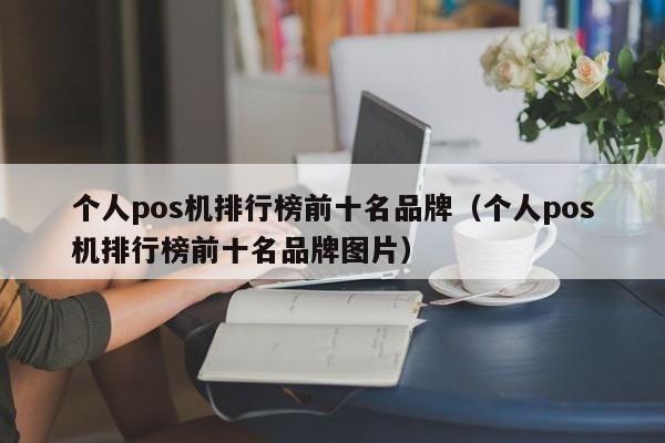 个人pos机排行榜前十名品牌（个人pos机排行榜前十名品牌图片）