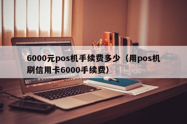 6000元pos机手续费多少（用pos机刷信用卡6000手续费）