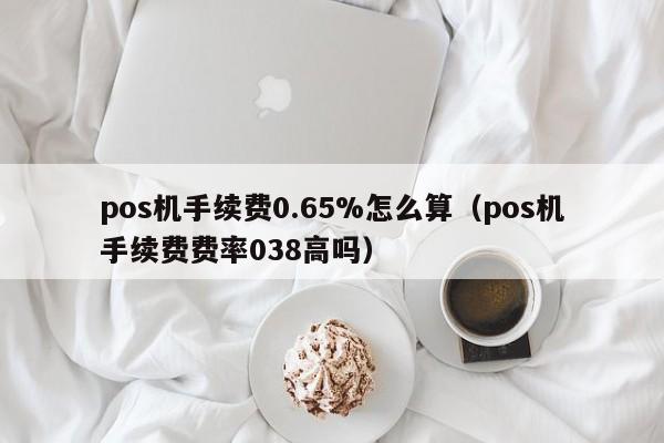 pos机手续费0.65%怎么算（pos机手续费费率038高吗）