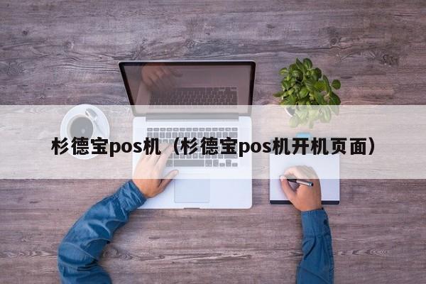 杉德宝pos机（杉德宝pos机开机页面）