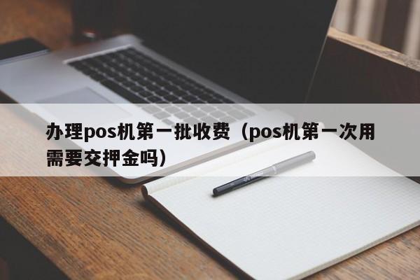 办理pos机第一批收费（pos机第一次用需要交押金吗）