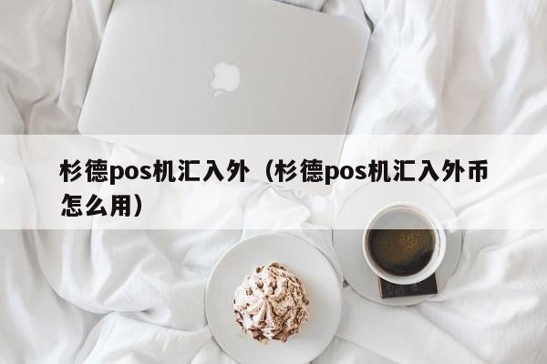 杉德pos机汇入外（杉德pos机汇入外币怎么用）