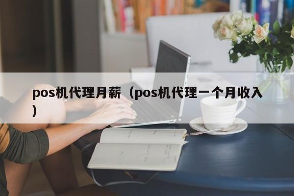 pos机代理月薪（pos机代理一个月收入）