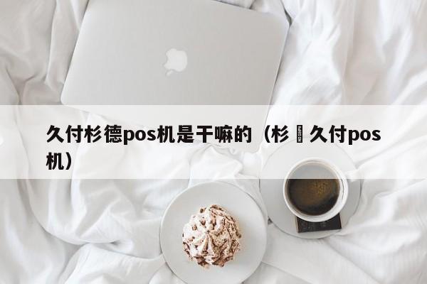 久付杉德pos机是干嘛的（杉徳久付pos机）