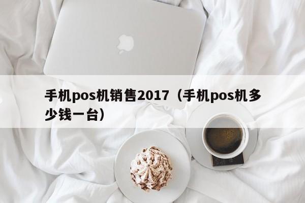 手机pos机销售2017（手机pos机多少钱一台）