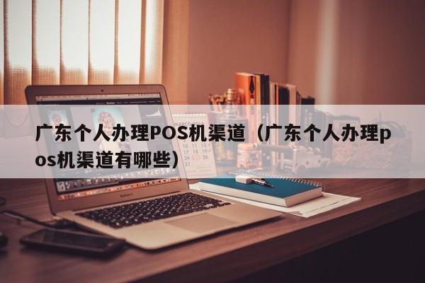 广东个人办理POS机渠道（广东个人办理pos机渠道有哪些）