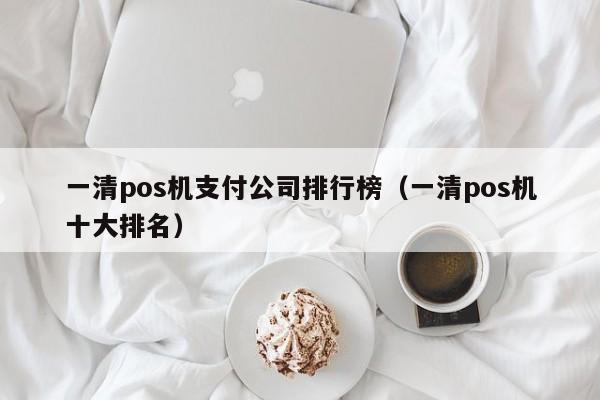 一清pos机支付公司排行榜（一清pos机十大排名）